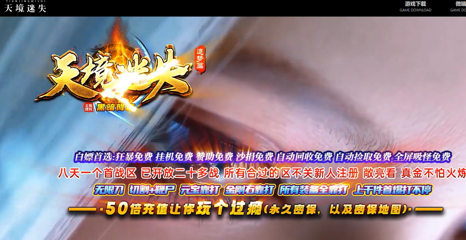 天境迷失追梦篇之黑暗降临无限刀单职业版本-神火飞鸦-GOM引擎